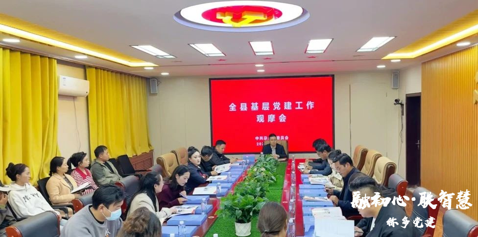 党建观摩展成效 互学互鉴促提升——称多县基层党建工作现场观摩活动侧记