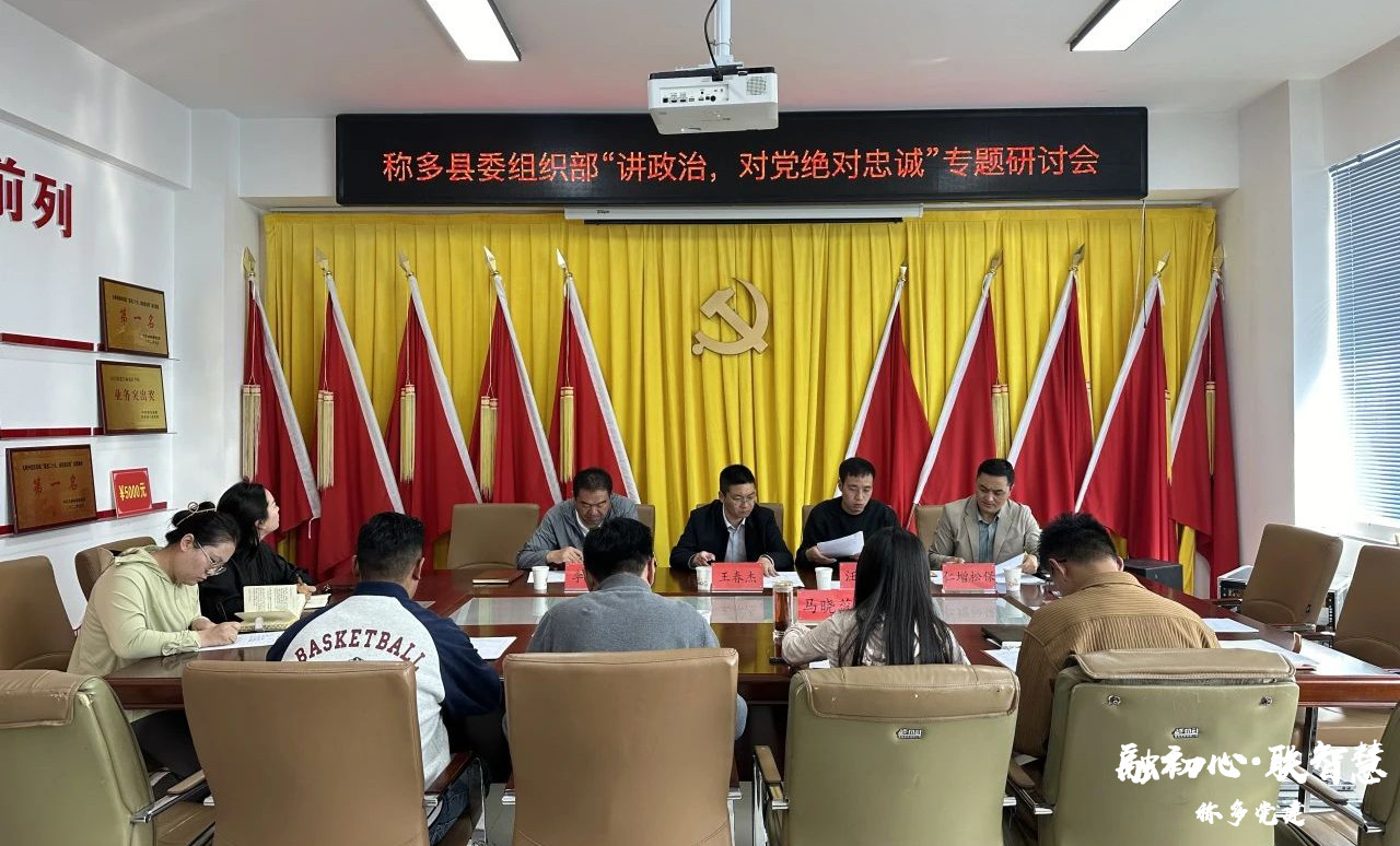 称多县委组织部召开“讲政治，对党绝对忠诚”专题研讨会