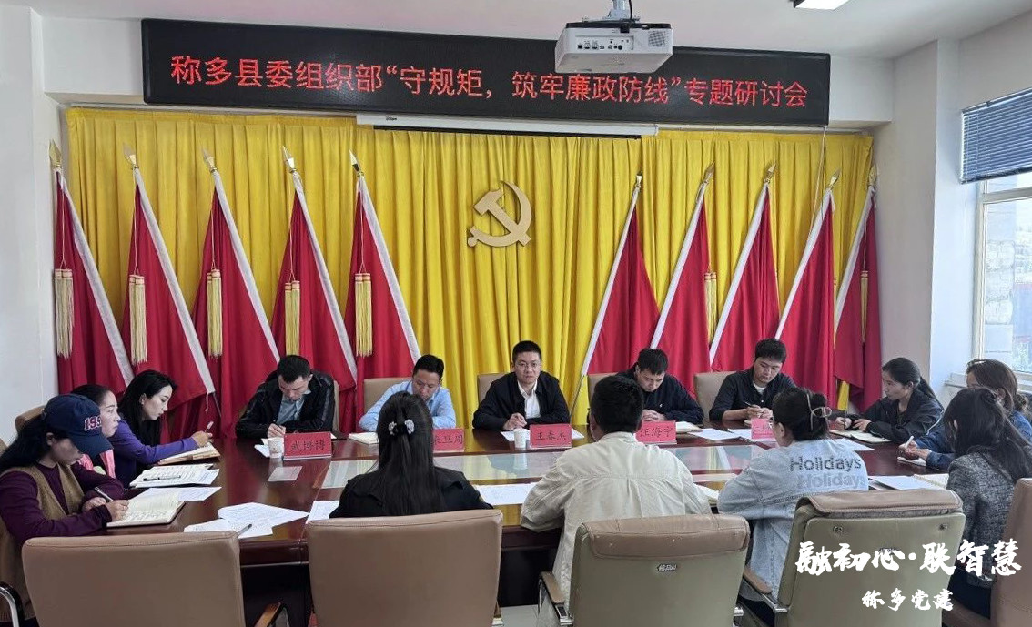 称多县委组织部召开“守规矩，筑牢廉政防线”专题研讨会