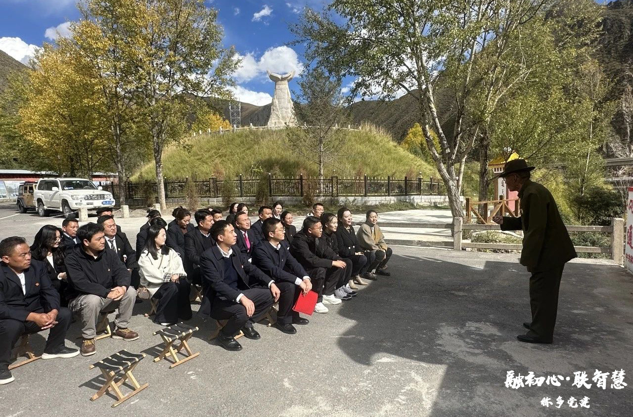 玉树州委第一巡察组临时党支部与称多县纪委监委、称多县委组织部、称多县委宣传部党支部全体党员开展联合主题党日活动