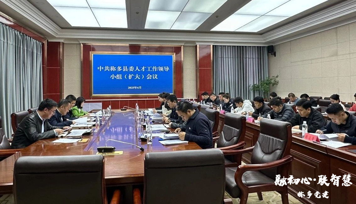 称多县召开县委人才工作领导小组（扩大）会议
