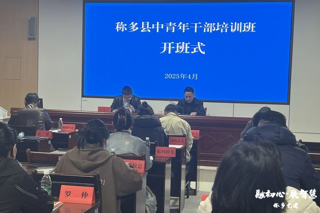 青春奋进正当时，逐梦扬帆再启航——2025年称多县中青年干部培训班圆满结业